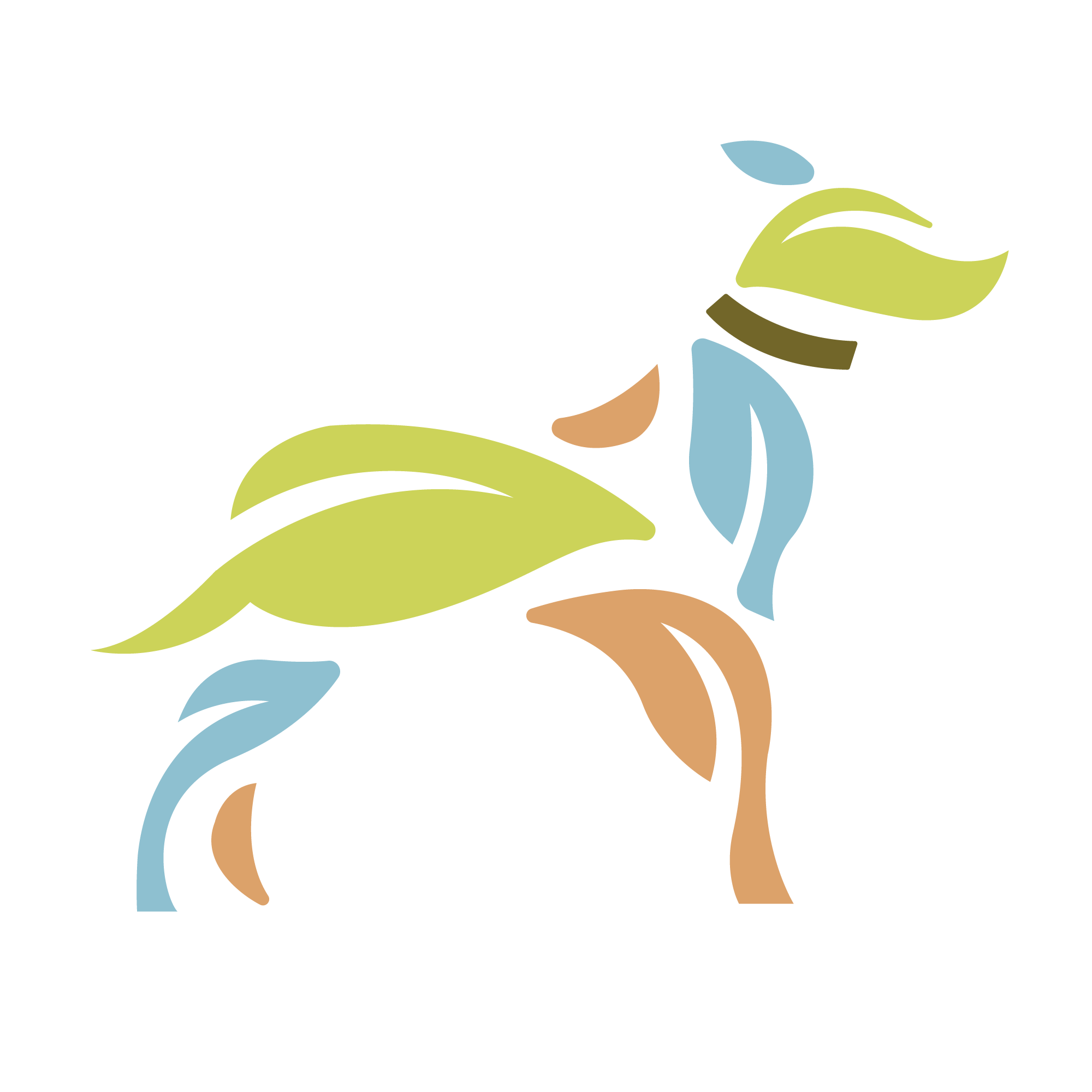 iViBlend